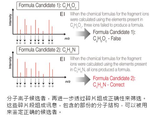 EI碎片离子分析