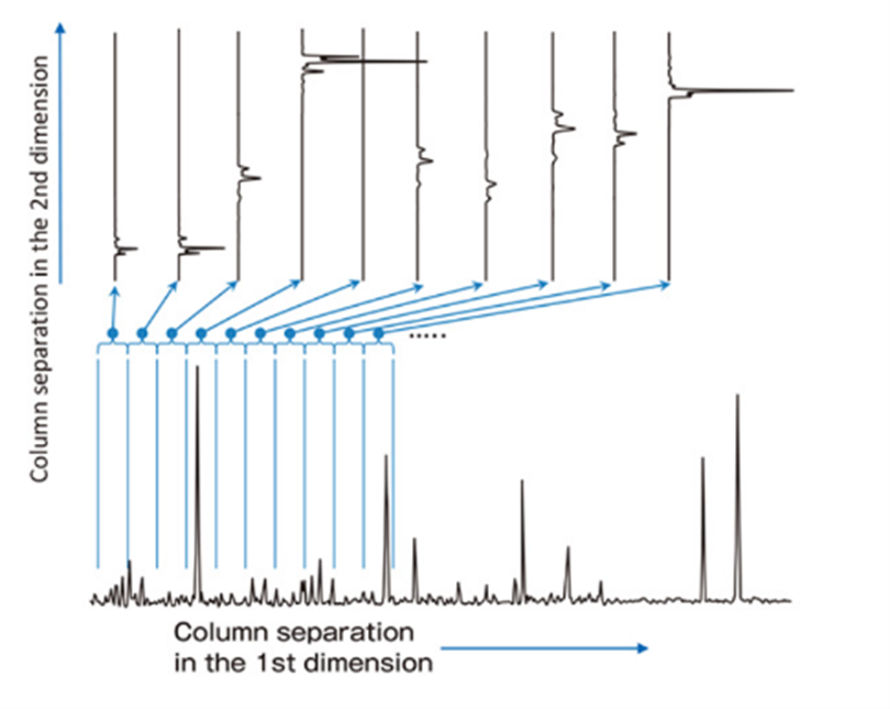 GCxGC分离概念图