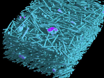 玻璃纤维和矿物填料 玻璃纤维和矿物填料