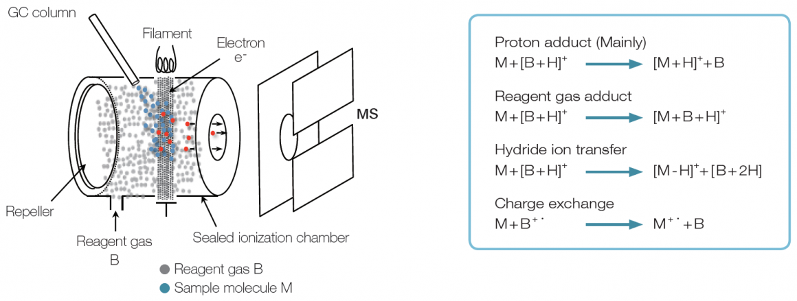 化学游离法CI离子源  化学游离法CI离子源