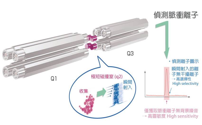 极短的碰撞室 极短的碰撞室