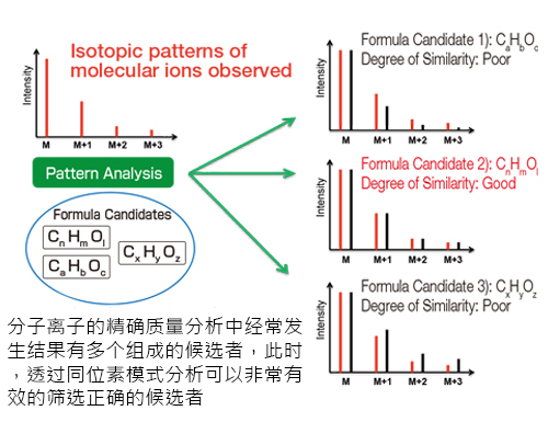 同位素模式分析 同位素模式分析