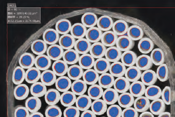 自动计数功能 自动计数功能