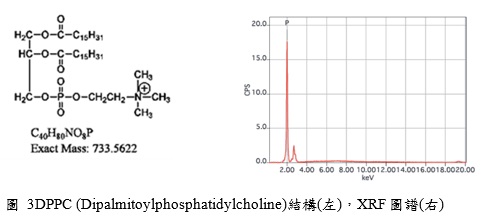DPPC 磷脂质 DPPC 磷脂质