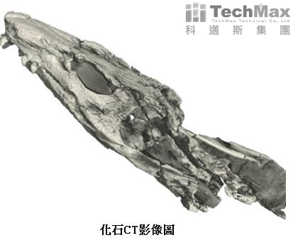 恐龙CT影像 恐龙CT影像