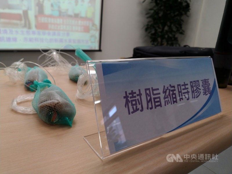 树脂缩时胶囊 树脂缩时胶囊